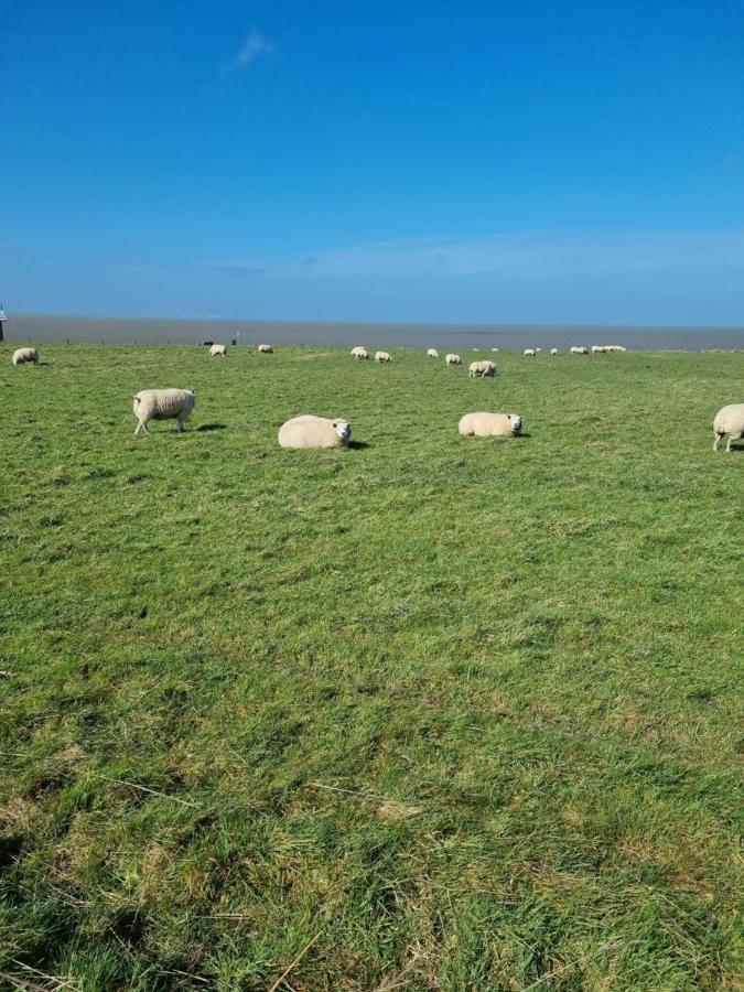 Westerland Meerblick Wattenmeer ,50M Vom Meer,Strand 300M מראה חיצוני תמונה